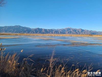 冬日野鸭湖国家湿地公园