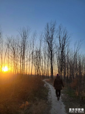 夕阳下的小道