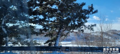 大雪过后