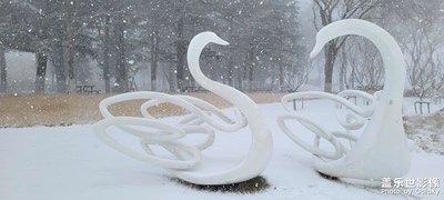 雪后的公园