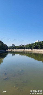 像是提前进入年假模式