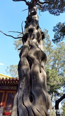 随便看看