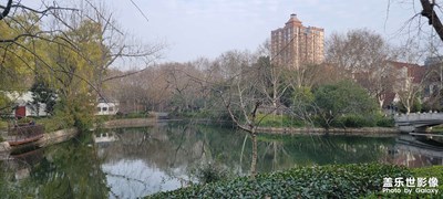 冬日的公园