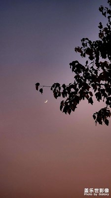 月末闲逛