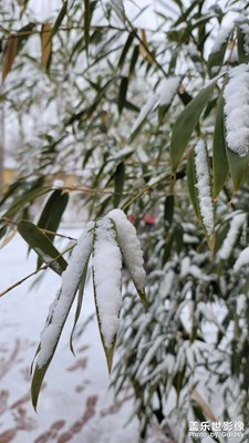 2023新年的第一场雪