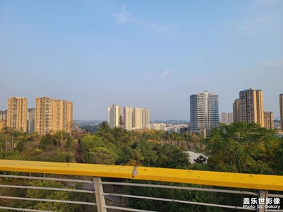 【回家路上】+回家，登高望远