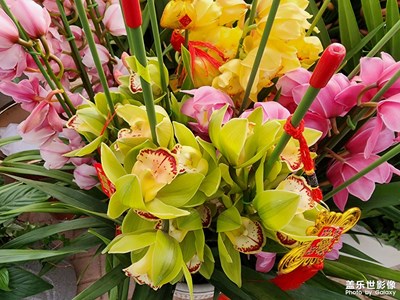 【新年快乐】+逛花市迎大年