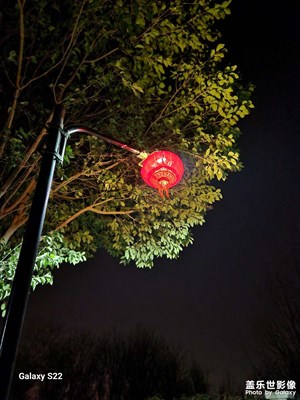 新年快乐