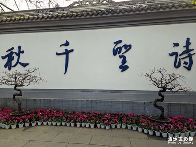 【时光静好】+诗圣朝圣之旅
