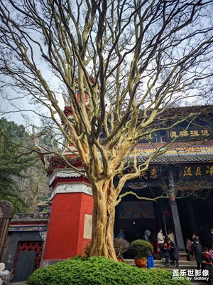 【烟火人间】+网红城市之旅