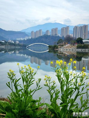 青黛山水与天齐