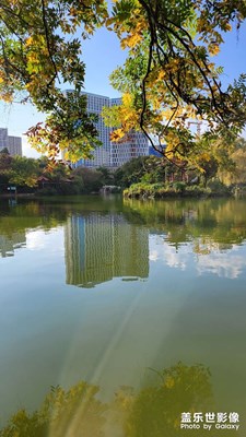 掺在手机里的风景