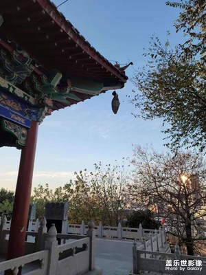 晨钟暮鼓东山寺