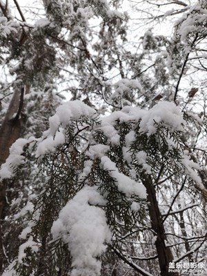 2023第一场雪！