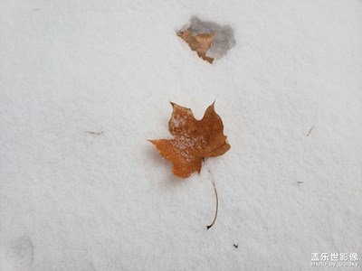2023第一场春雪