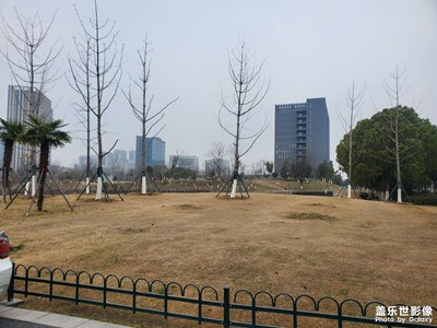 南京市江北新区，泰冯路地铁站附近停车场真的是少啊！