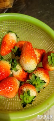 吃草莓🍓🍓🍓🍓🍓🍓🍓