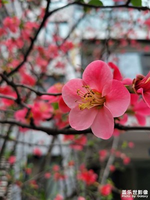 【碎片日常】春天的气息