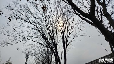 随拍