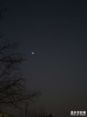 星月夜＃随手拍