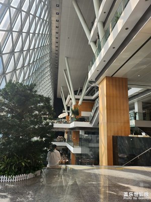 周末在图书馆晒晒太阳看看书