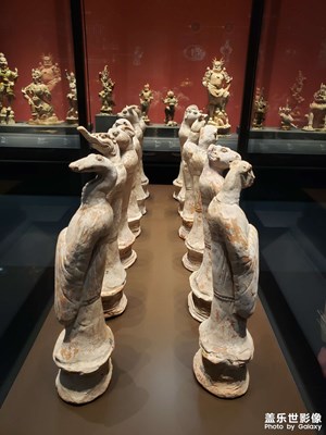 随便看看
