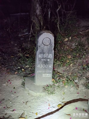 夜爬梧桐山