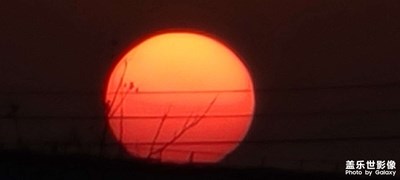 夕阳无限好