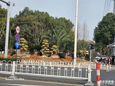 新机日常生活分享记录