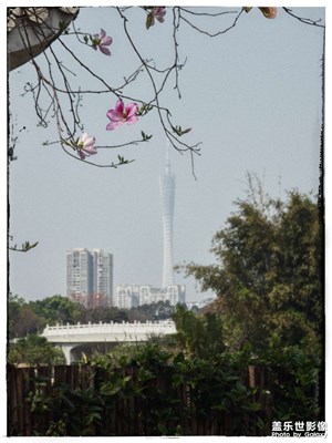 细节不够滤镜来凑!复古风格照片分享