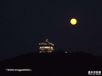 旅薛小景