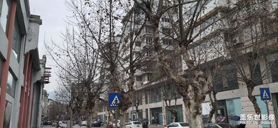 【网红打卡地】+老街道