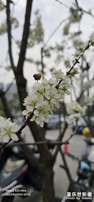 照片，细节还可以