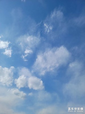 天气真不错呀
