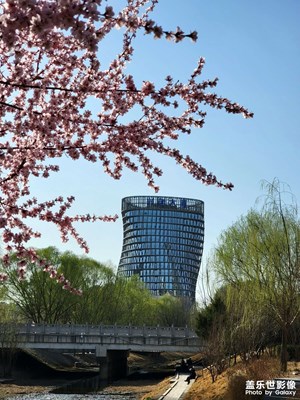 新风河早春光景