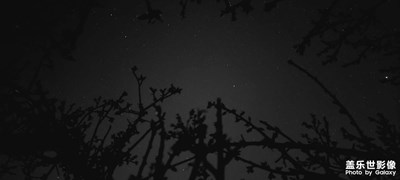 日常随拍之(星空)
