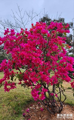 春暖花开