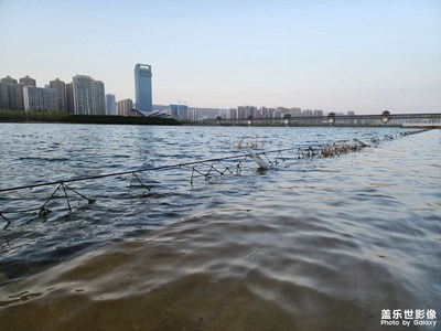 【春之序曲】+春景随拍