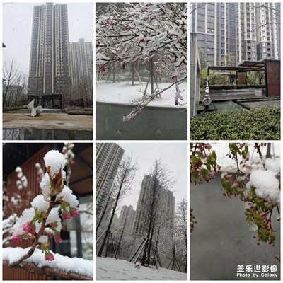 春雪