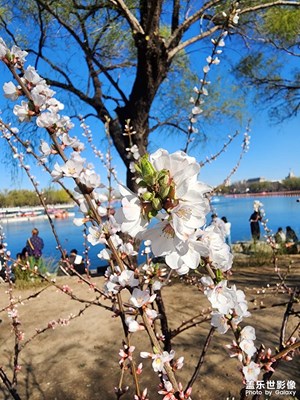 玉渊潭公园