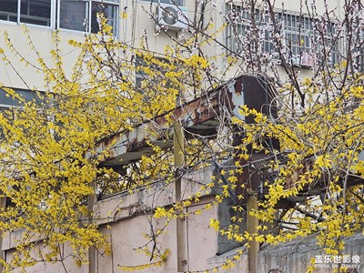 小区一角