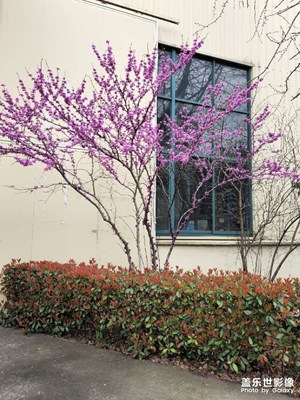 s23u2亿像素拍照