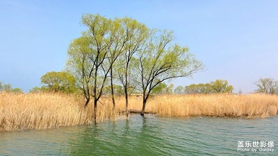 春日的水