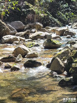 风景