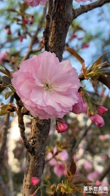 三月再见，四月你好