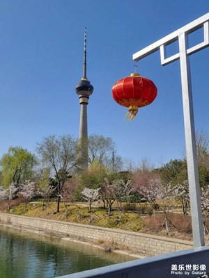 春暖花开