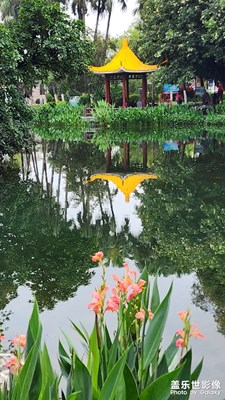 湿地花语