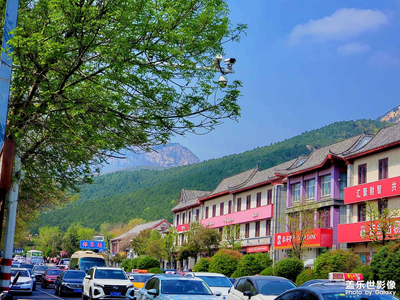 泰山