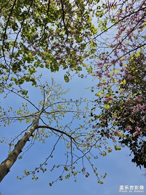 日常一拍