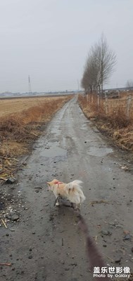 雨，一直下